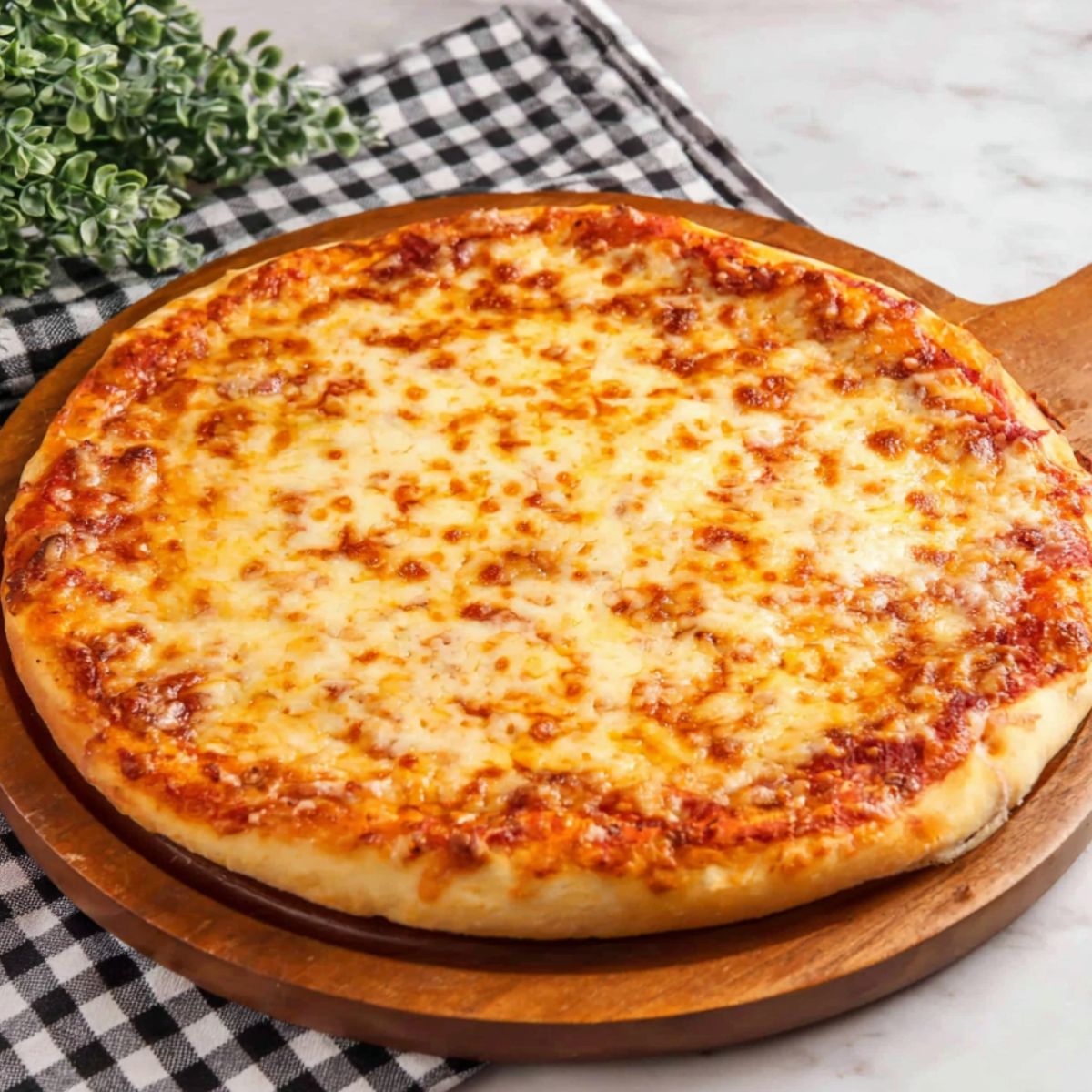 Freshly baked cheesy pizza
