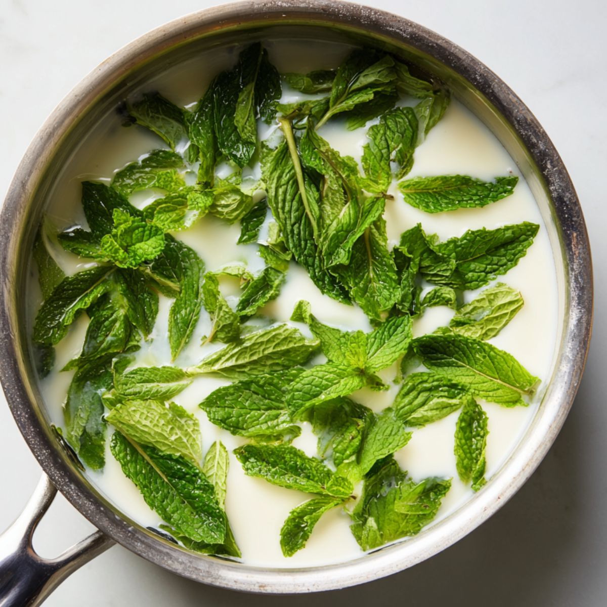 Fresh mint leaves steeping in cream and milk in a saucepan on a white kitchen counter.