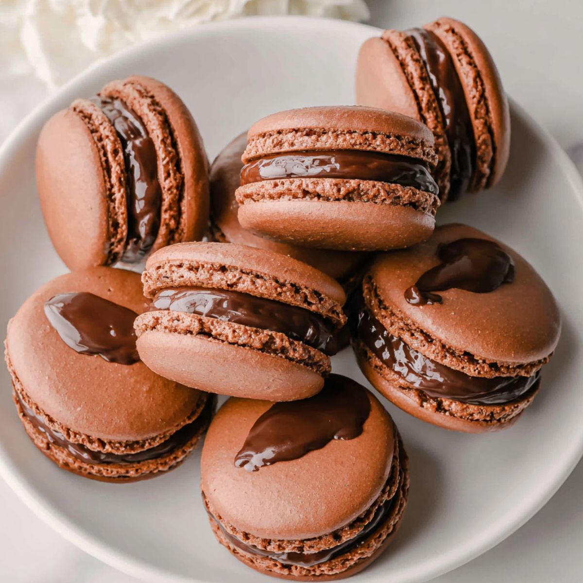 Homemade chocolate macarons recipe , arranged on a white kitchen counter